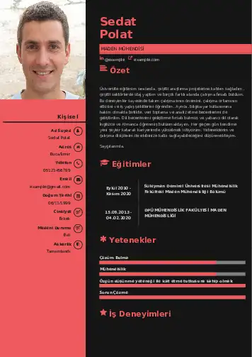 Maden Mühendisi Cv Örnekleri cv indir